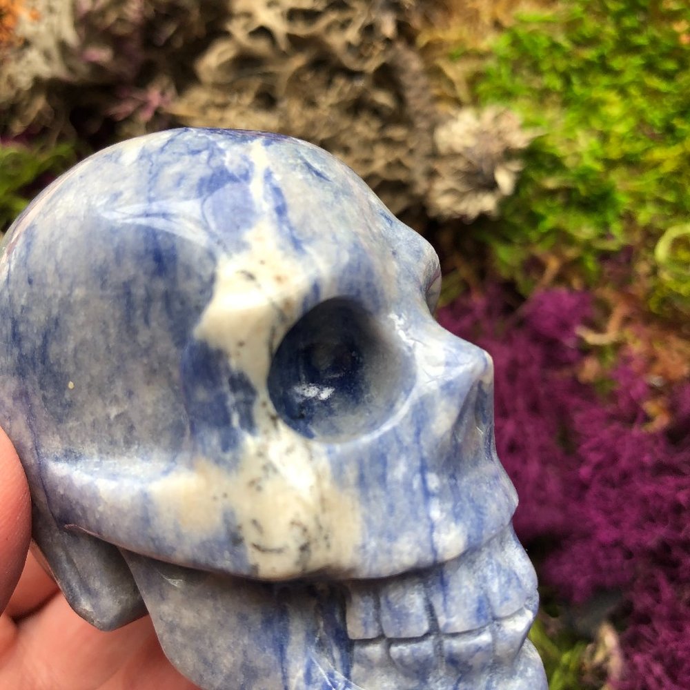Sodalite Skull blue and white crystal skull - Picture 4 of 12